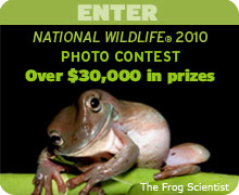 Enter the 2010 National Wildlife Photo Contest